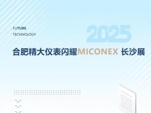 火爆收官！合肥精大儀表閃耀MICONEX長(zhǎng)沙展